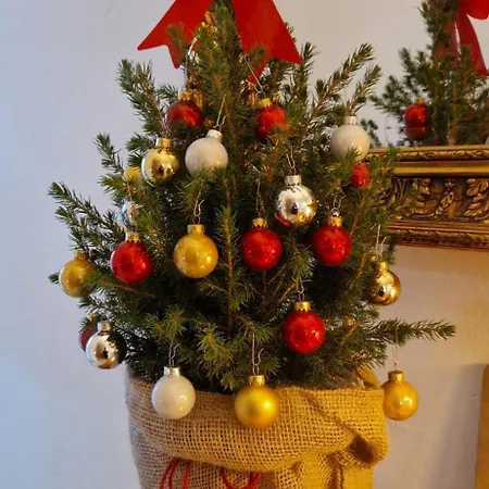 Camino A Sopenas Orena