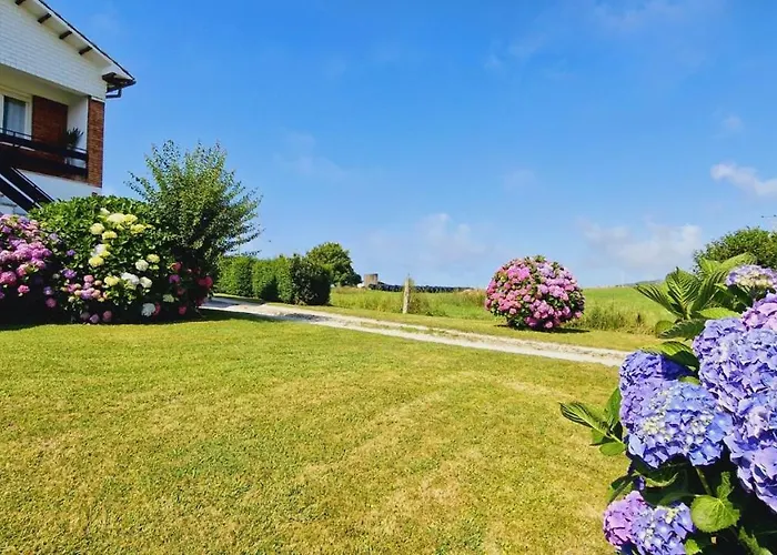 Camino A Sopenas * Orena