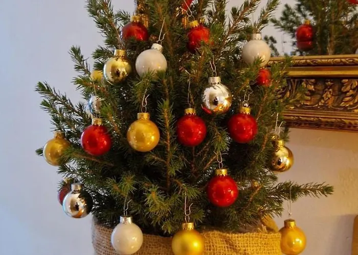 Camino A Sopenas Orena